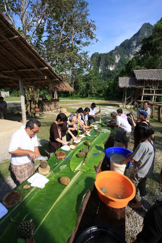 Elephant Hills & The Lake Camp de Phuket: Elephant Experience