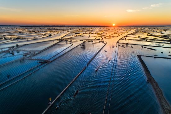 Zentralvietnam aktiv erleben ab Hue: Aerial view of fisherman on Chuon lagoon