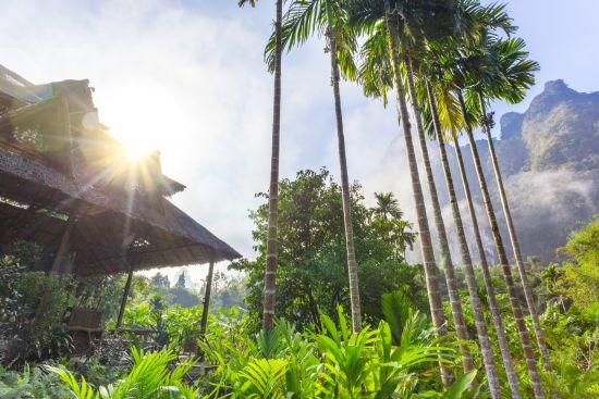 Elephant Hills - 2 Tage ab Phuket: Elephant Hills Maincamp