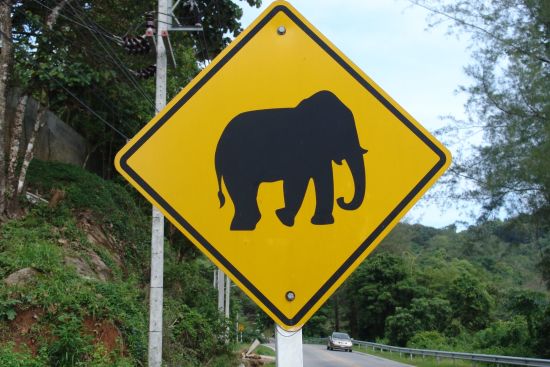 Circuit en voiture de location Triangle d'Or de Chiang Mai: Thailand: road sign