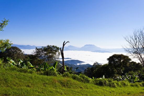 Mietwagen Rundreise Mae Hong Son ab Chiang Mai: Mae Hong Son: foggy mountains