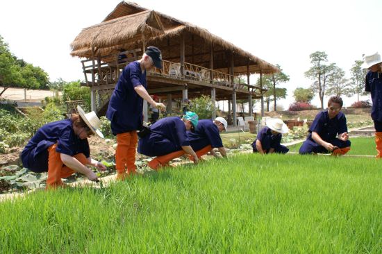 La Thaïlande pour les fins connaisseurs de Bangkok: PICT2919