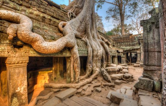 Angkor mystique de Siem Reap: Ta Prohm Temple