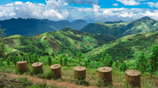 Au pays des temples et des pagodes de Mandalay: Kalaw