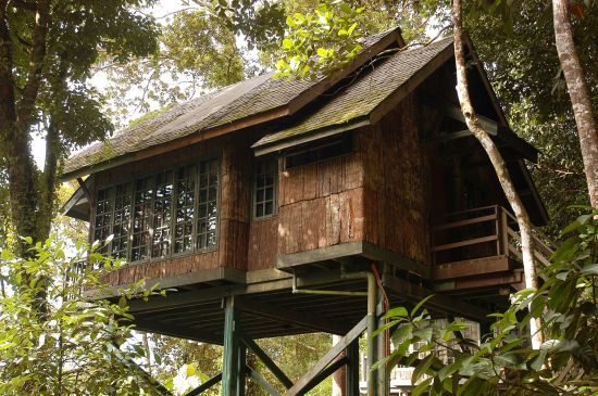 Sarawak – la nature dans toute sa splendeur de Kuching: Permai Rainforest Resort Treehouse