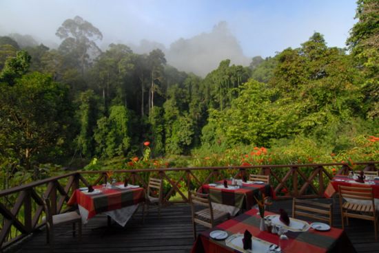 Borneo Wildlife / Borneo Rainforest Lodge ab Kota Kinabalu: Borneo Rainforest Lodge - Restaurant Deckt