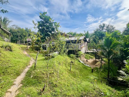 Sarawak – la nature dans toute sa splendeur de Kuching: location: Local Village Kampong Nyegol