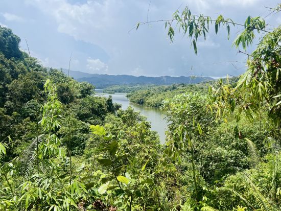 Sarawak – la nature dans toute sa splendeur de Kuching: location: Kampong Nyegol