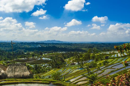 Imposanter Ijen Krater ab Südbali: Bali Jatiluwih Rice Terraces
