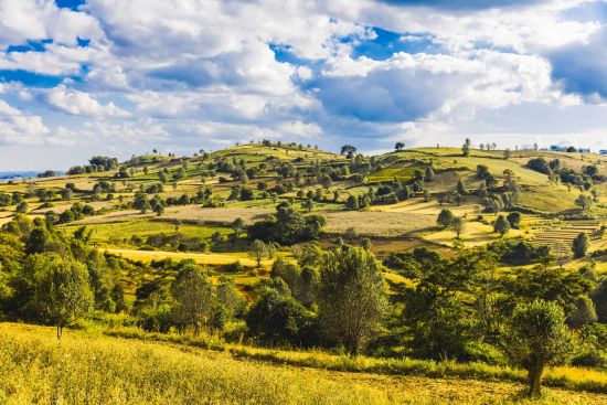 Wandern im malerischen Shan Staat (4 Tage) ab Inle Lake: Kalaw countryside