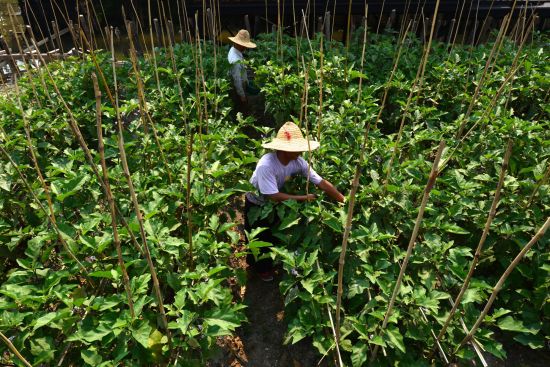 Mythes et légendes du Myanmar de Yangon: Inle Lake Ausflug 