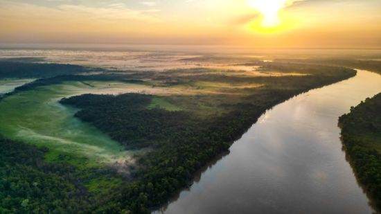 Dschungelabenteuer in Kalimantan, 4 Tage ab Palangkaraya: Landscape at the Kahayan River