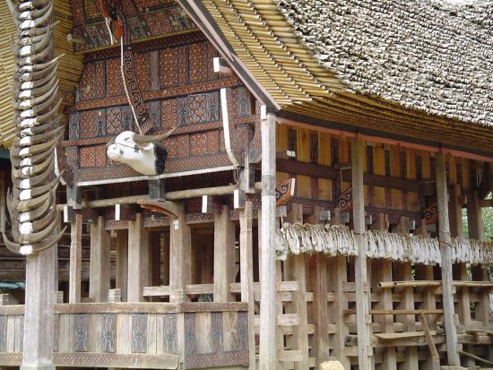 Sulawesi - au pays des Toraja de Makassar: Sulawesi Toraja Traditional House 