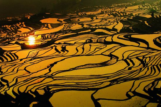 Yunnans Süden - Landschaften wie gemalt ab Kunming: Yuanyang rice terraces