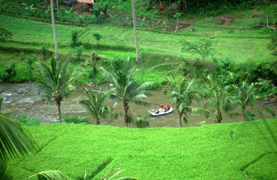 Bali active de Sud de Bali: Bali River Rafting
