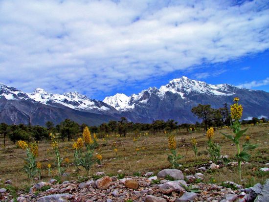 Les hauts lieux du Yunnan de Kunming: Lijiang: Snow Mountain