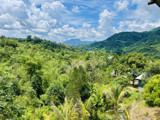 Natur pur in Sarawak ab Kuching: location: View from local guest house