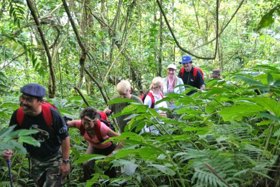 Bali active de Sud de Bali: activities: Rainforest trekking