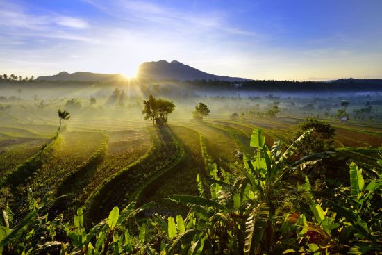 Erlebnisreiches Bali ab Südbali: Bali rice fields East Bali