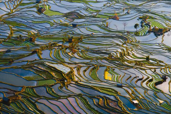 Yunnans Süden - Landschaften wie gemalt ab Kunming: Yuanyang rice terraces