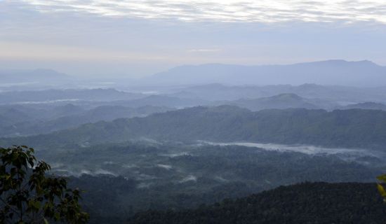 Sarawak – la nature dans toute sa splendeur de Kuching: Borneo Highlands Resort Border Viewpoint 2