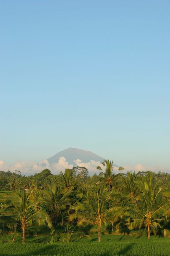 Erlebnisreiches Bali ab Südbali: Bali Mount Agung