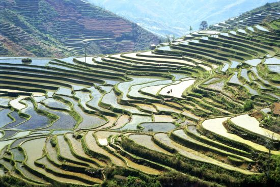 Sud du Yunnan - paysages dignes d’un tableau de Kunming: Yuanyang rice terraces