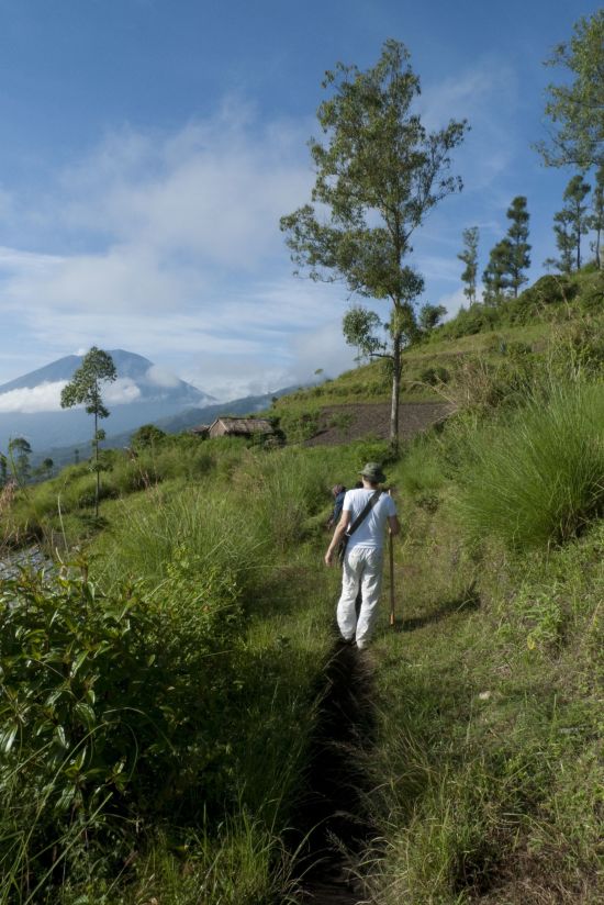 Bali active de Sud de Bali: Bali: Trekking