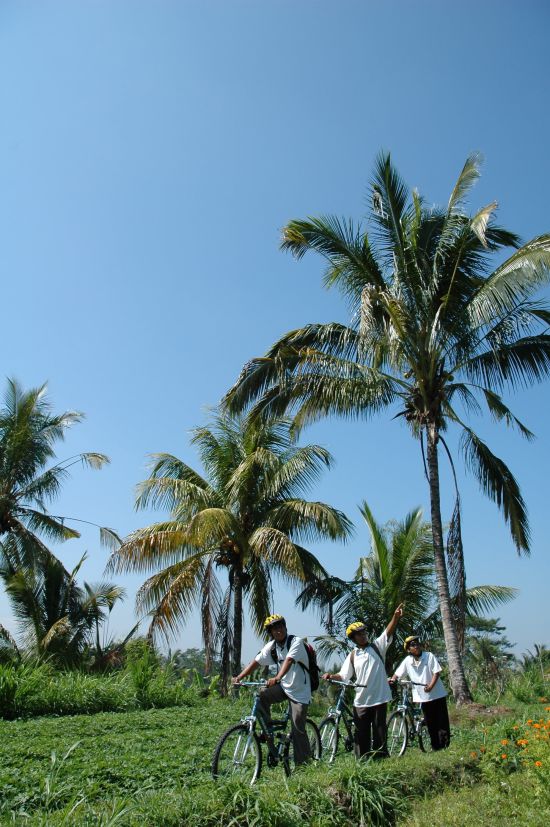 Bali active de Sud de Bali: Bali Biking