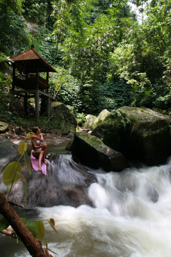 Erlebnisreiches Bali ab Südbali: Bali: in the jungle