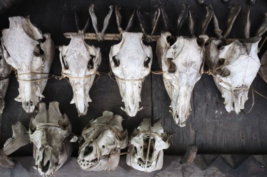 Circuit au nord de Luzon de Manille: Luzon Banaue skulls