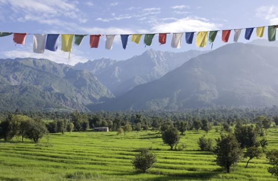 Am Fusse des Himalaya ab Delhi: Dharamsala: Countryside with mountains