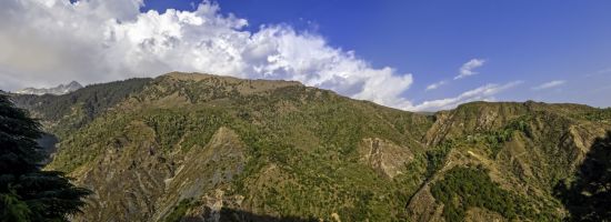 Magie des temples et idylle des montagnes de Delhi: Dharamsala: Mountain