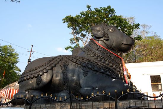 Trésors culturels du Karnataka de Bengaluru: Mysore: Nandi