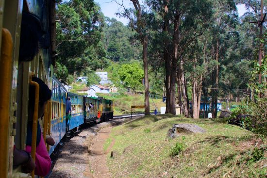Le sud diversifié de l’Inde de Kochi: Nilgiri: Trainride
