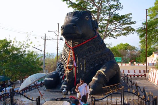 Le sud diversifié de l’Inde de Kochi: Mysore: Nandi