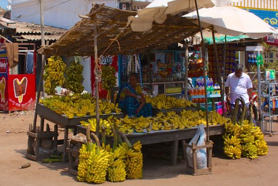 Odisha, terre des temples de Bhubaneswar: What a choice of bananas - Puri