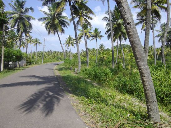 Tour à vélo à travers le Kerala de Kovalam: Kerala Biking Tour