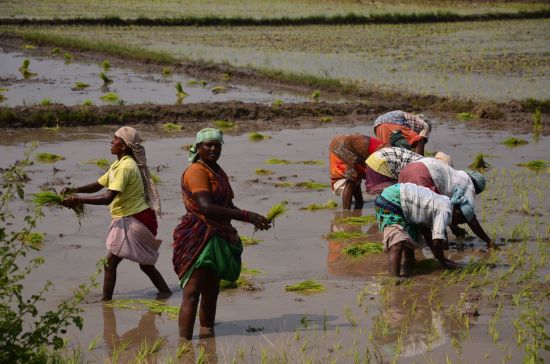 Tour à vélo à travers le Kerala de Kovalam: Close to the people