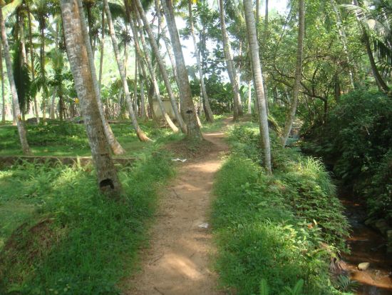 Tour à vélo à travers le Kerala de Kovalam: Kerala Biking Tour