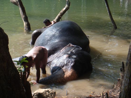 Tour à vélo à travers le Kerala de Kovalam: Kerala Biking Tour