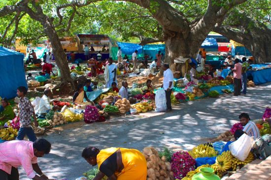 Le sud diversifié de l’Inde de Kochi: Bangalore: local market