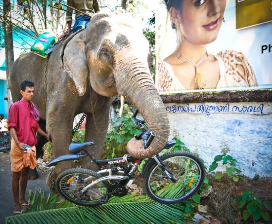 Tour à vélo à travers le Kerala de Kovalam: Kerala Biking Tour