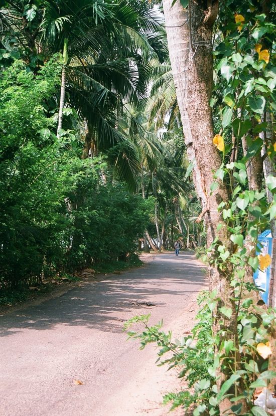 Tour à vélo à travers le Kerala de Kovalam: Kerala Biking Tour