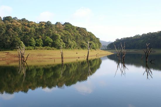 Les hauts lieux du sud de l'Inde de Chennai: Periyar: Wildlife Sanctuary