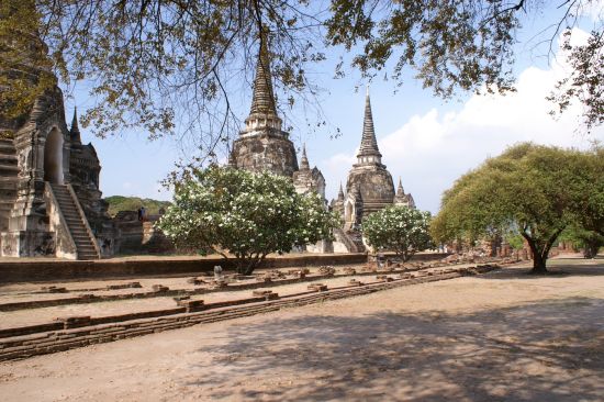 Natur & Kultur rund um Bangkok: Ayutthaya: