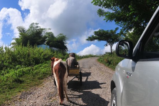 Le paradis inconnu du Timor-Leste de Dili: Rural road Timor-Leste