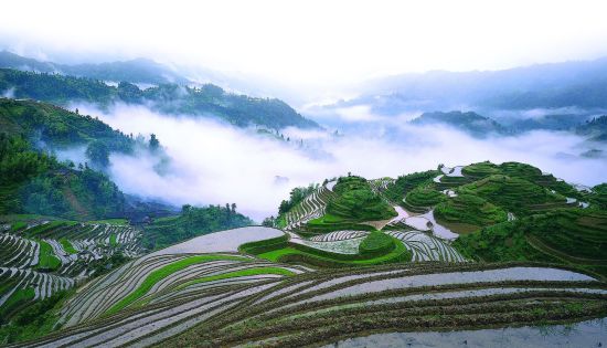 Märchenhaftes Südchina ab Shanghai: Longsheng: Terrace