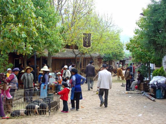 Découverte active du Yunnan de Kunming: Shaxi: Market