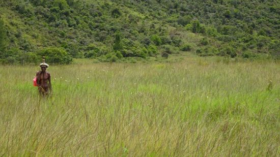 Papua - Reise in eine andere Zeit ab Jayapura: Dani Man 